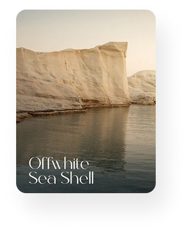 Offwhite Sea Shell